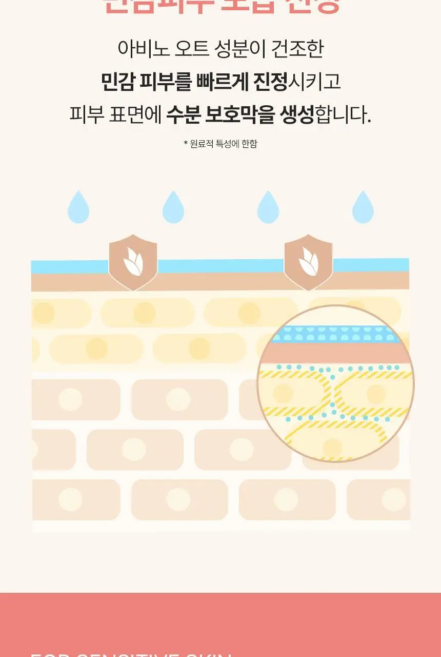 [71ml증정] 아비노 바디로션 532ml 단독기획(자몽향) 상세페이지 4